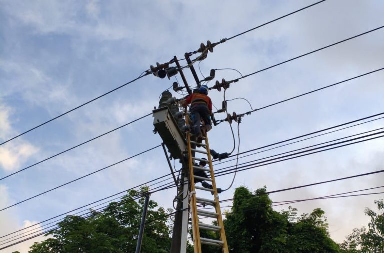 Listrik PLN Batam di Tanjung Piayu Padam Akibat Layang-Layang dan Pohon Tumbang